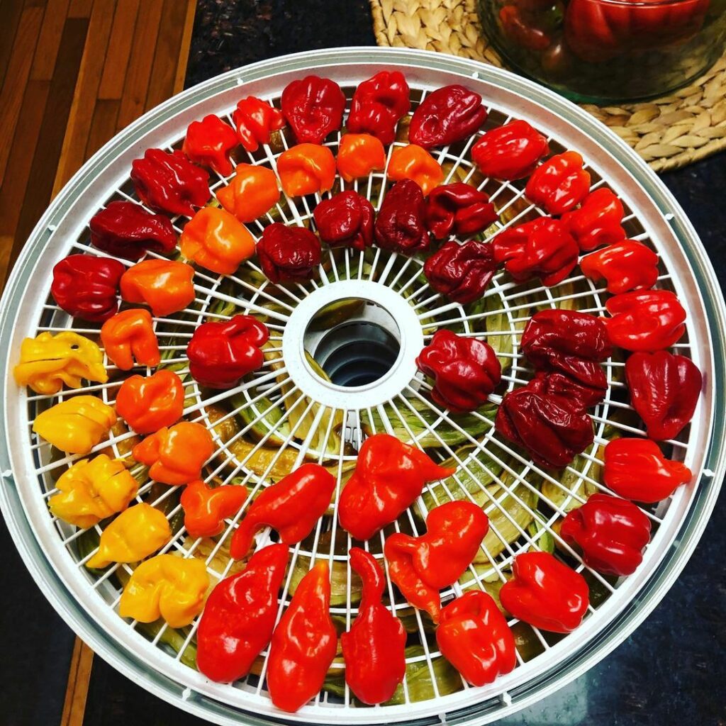 chili med dehydrator