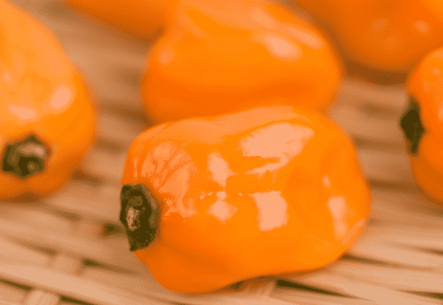 habanero